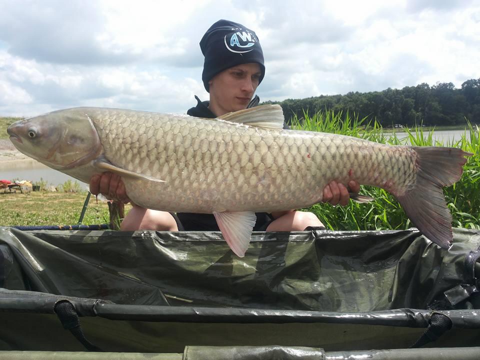 Cetariu - 106142598725802161494094738922771687695412n.jpg